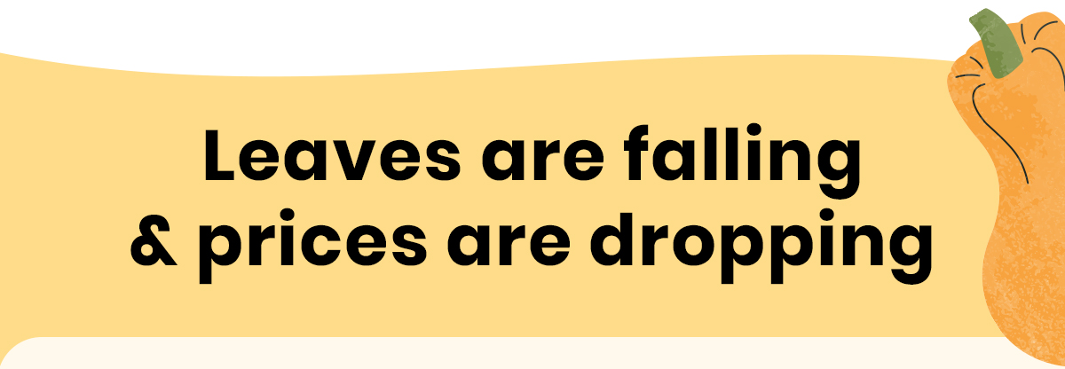 Leaves are falling and prices are dropping