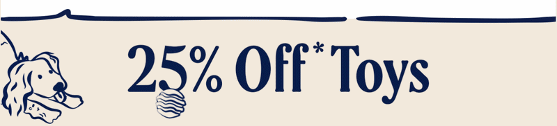 25% off toys