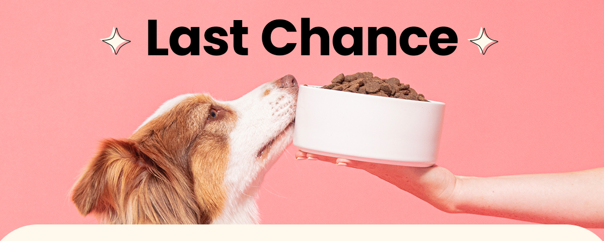 Last chance!