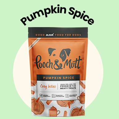 Pumpkin Spice