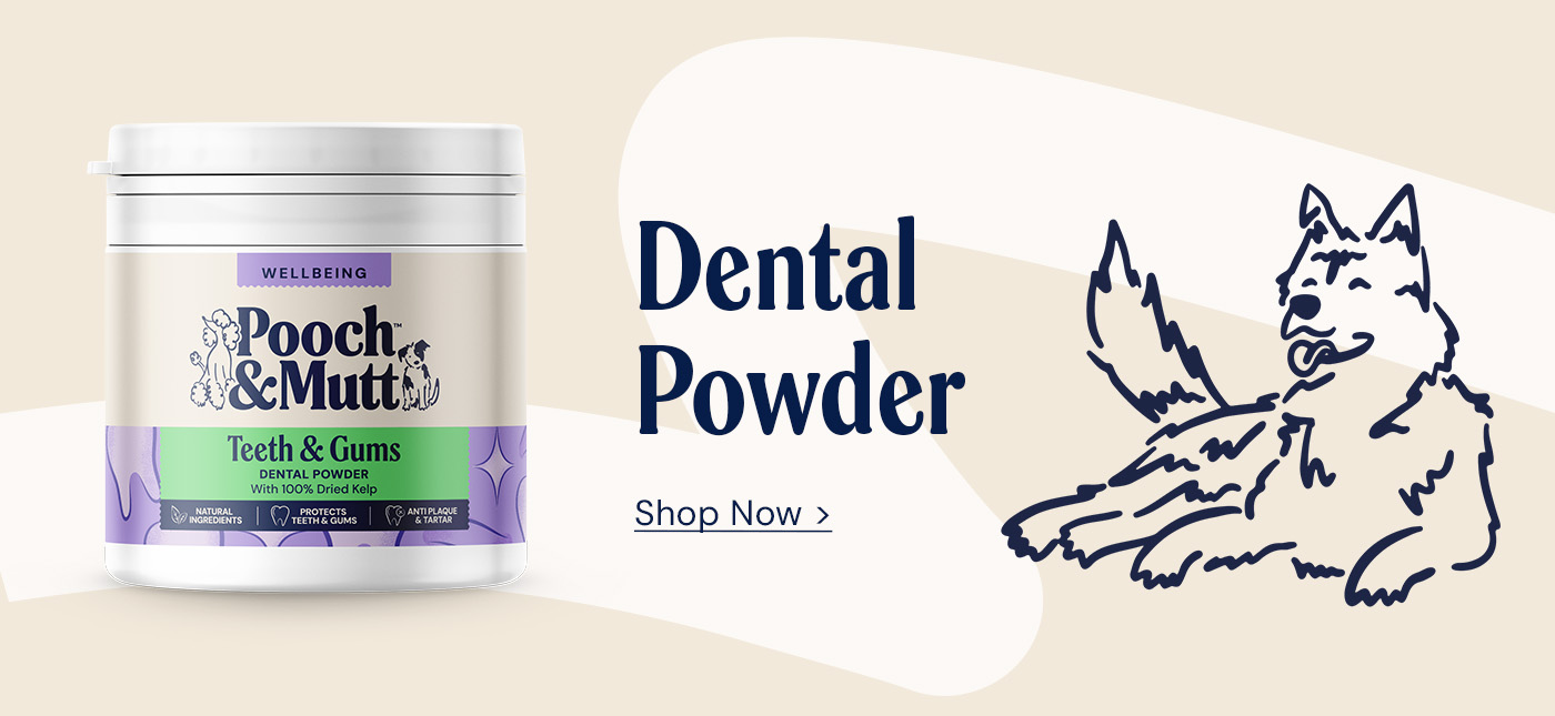 Dental Powder