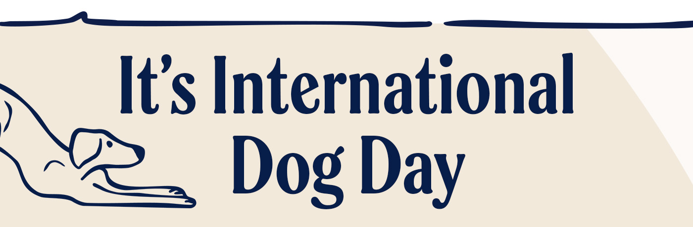 It's International Dog Day