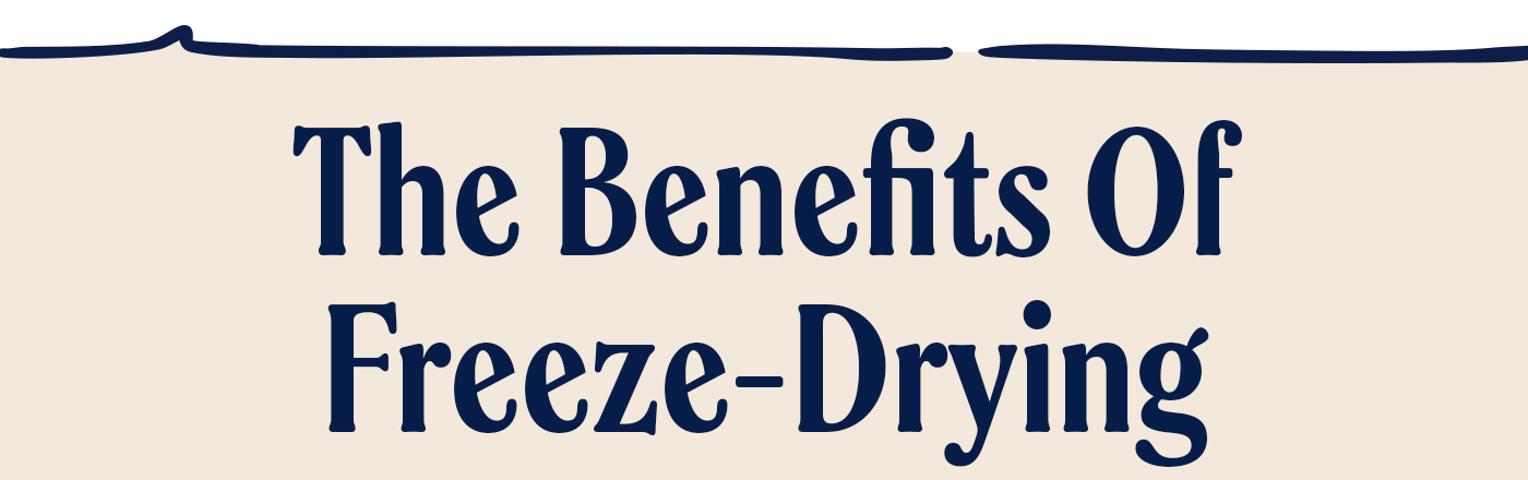 The benefits of freeze-drying