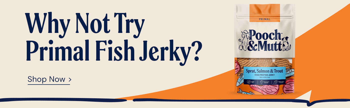 Why not try Primal Fish Jerky?