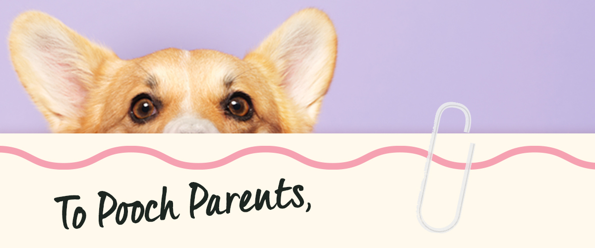 To Pooch Parents,