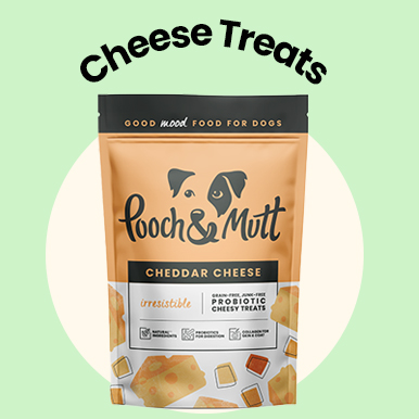 Cheese Treats