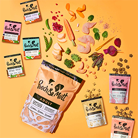 Supplements