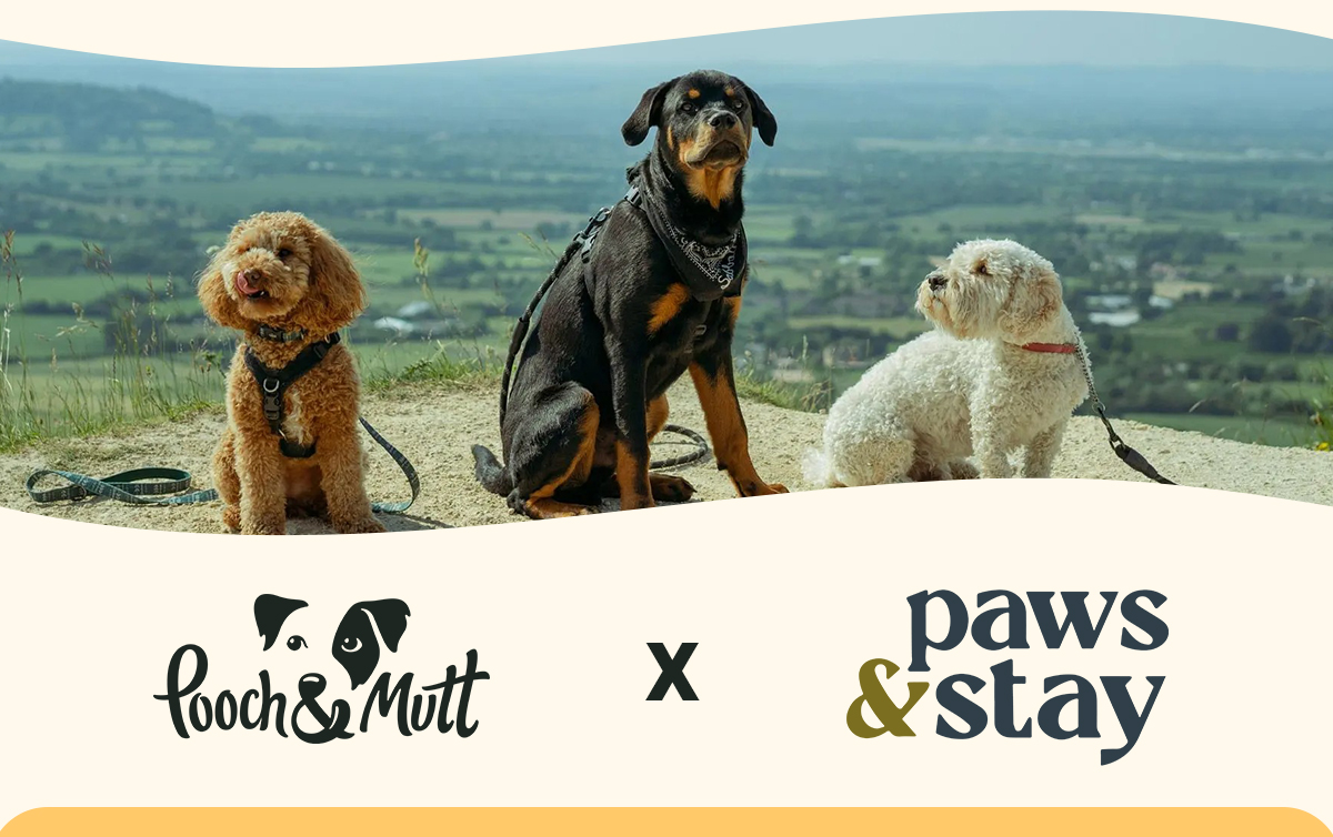 Pooch and Mutt x Paws & Stay