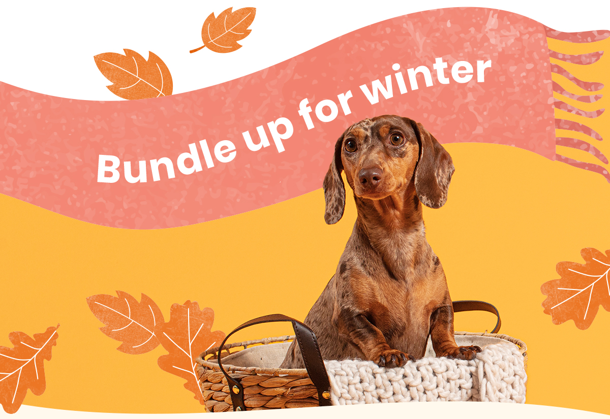 Bundle up for winter