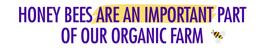 Honey Bees Are An Important Part Of Our Organic Farm 🐝