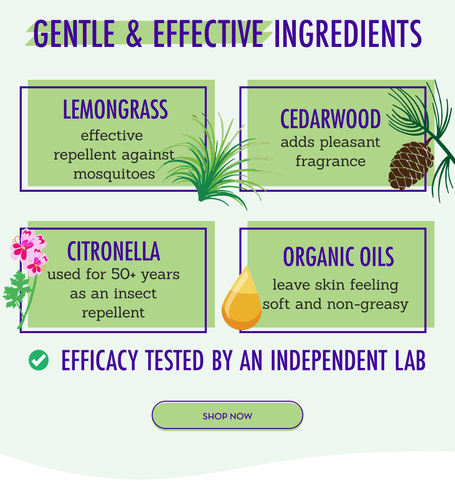Gentle & Effective Ingredients