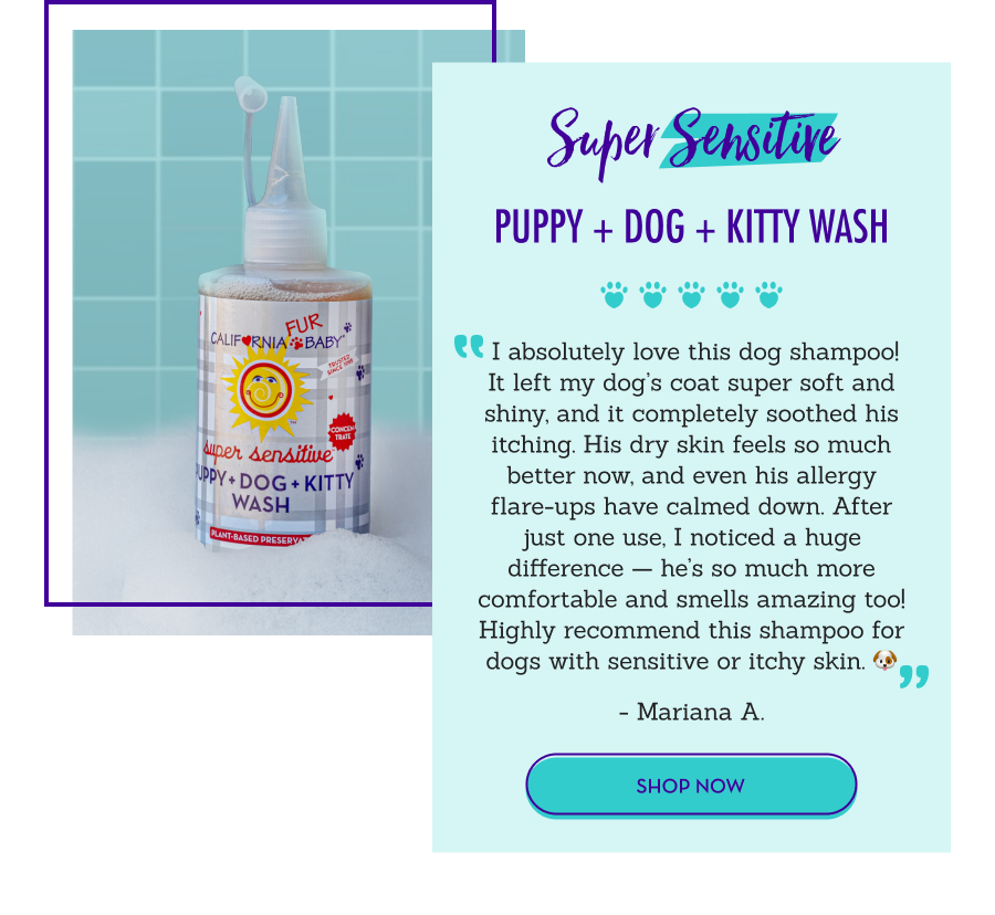 Super Sensitive Puppy + Dog + Kitty Wash