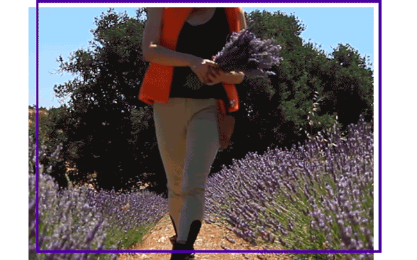 This muslin sachet has a beautiful earthy fragrance and is filled with dried organic lavender that was grown on California Baby's certified organic farm in Santa Barbara, California.