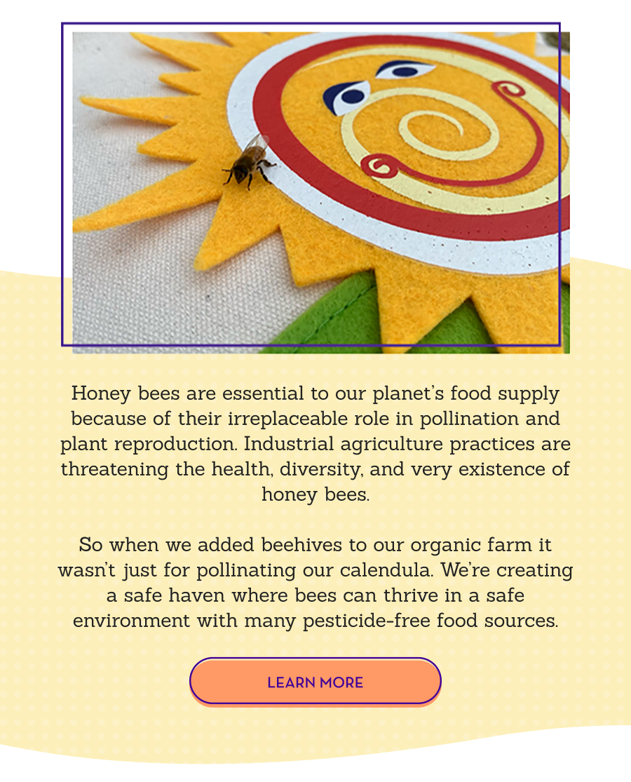 Honey bees are essential to our planet’s food supply because of their irreplaceable role in pollination and plant reproduction. Industrial agriculture practices are threatening the health, diversity, and very existence of honey bees.  So when we added beehives to our organic farm it wasn’t just for pollinating our calendula. We’re creating a safe haven where bees can thrive in a safe environment with many pesticide-free food sources. Learn More