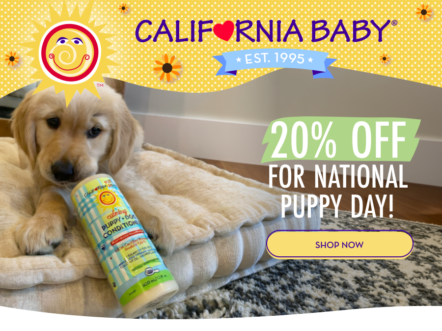 20% Off For National Puppy Day! SHOP NOW