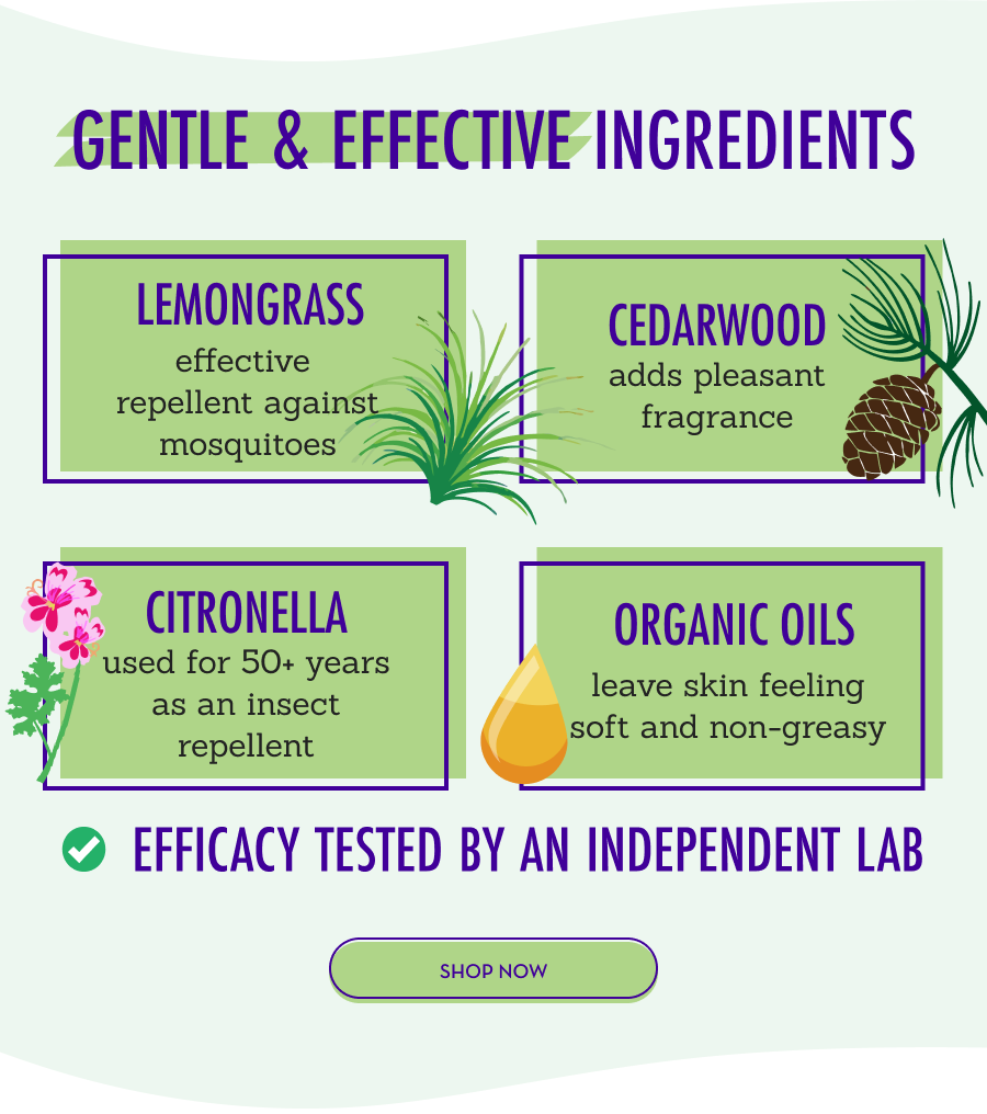 Gentle & Effective Ingredients
