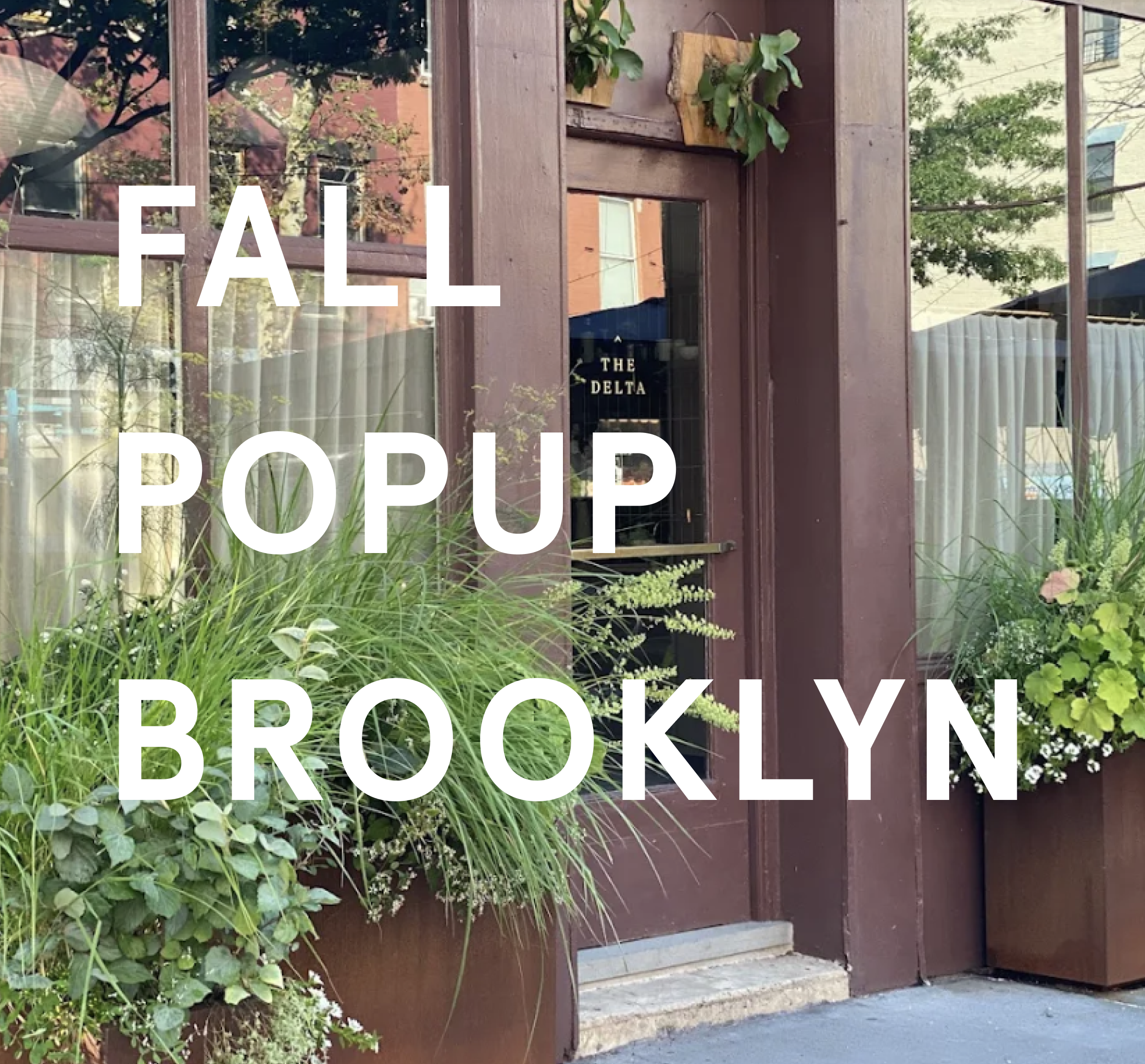 Fall Pop-Up Brooklyn