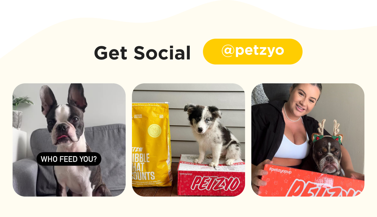 petzyo, Keep Your Dog's Tail Wagging Hip Dysplasia Exercises to the