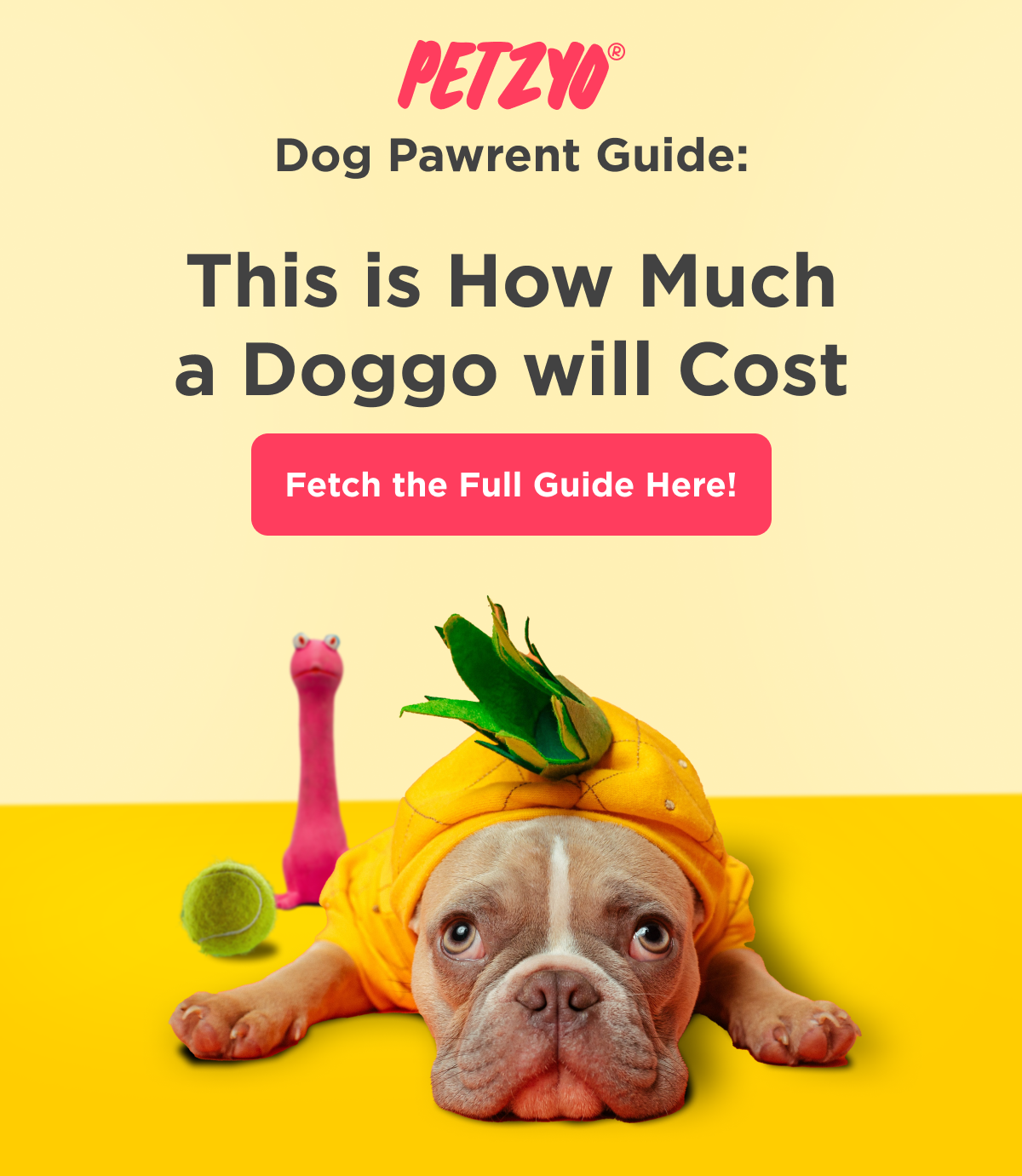 The true cost of a Dog 💵 Petzyo