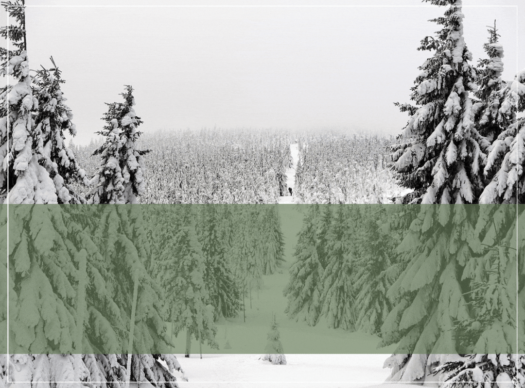 HOLIDAY CHEER ALPINE STYLE