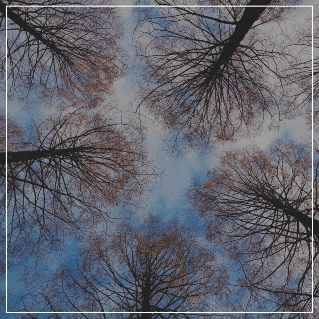 LAST HOURS TO SAVE 30% OFF