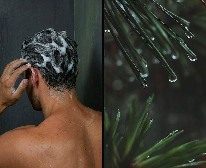 Man with shampoo in his head (left). Fir with some water drops (right).