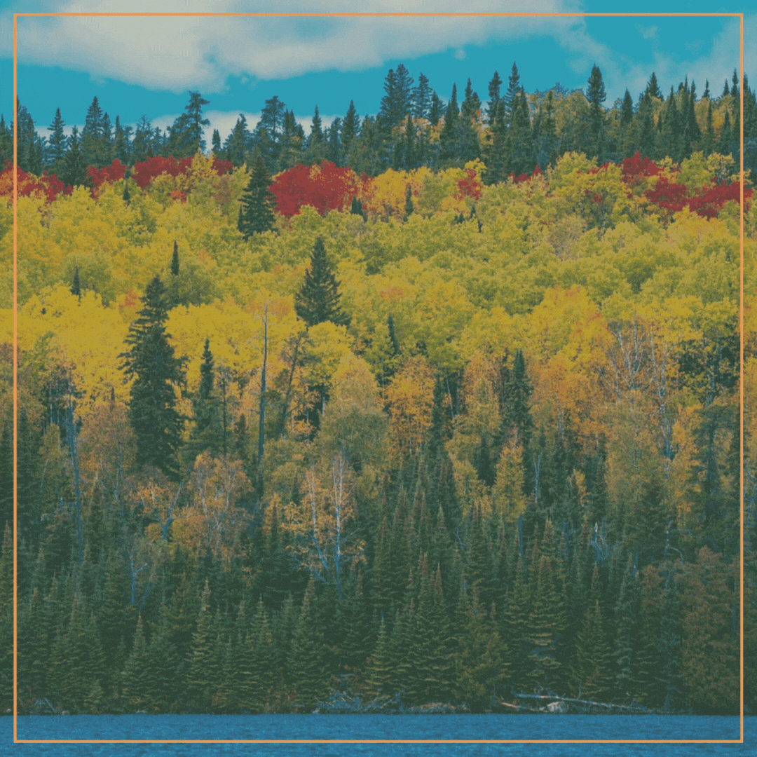 Last Day to Save 25% Off