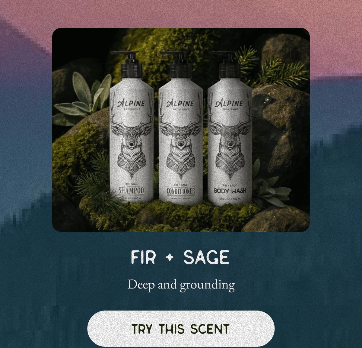 Fir + Sage