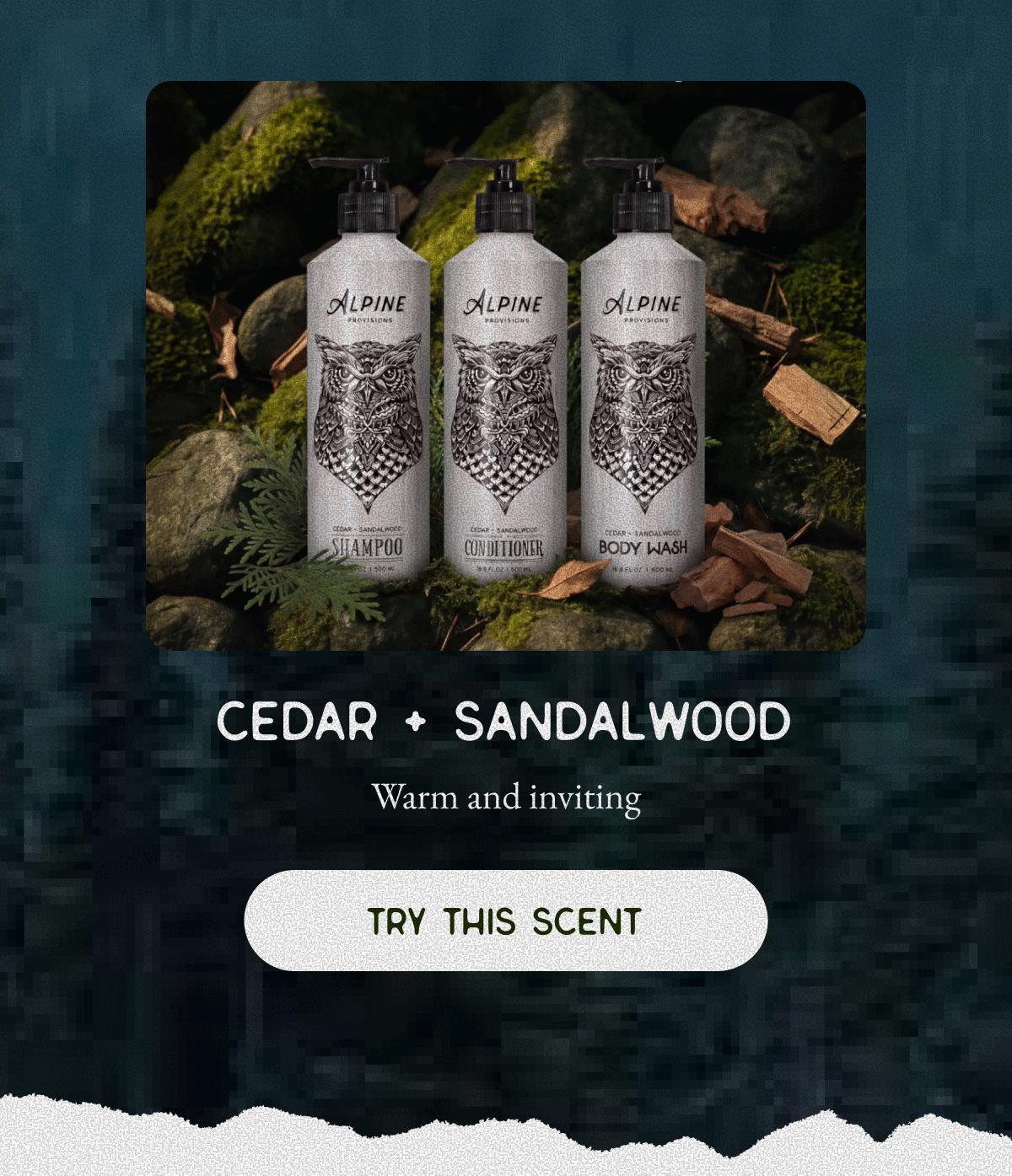 Cedar + Sandalwood