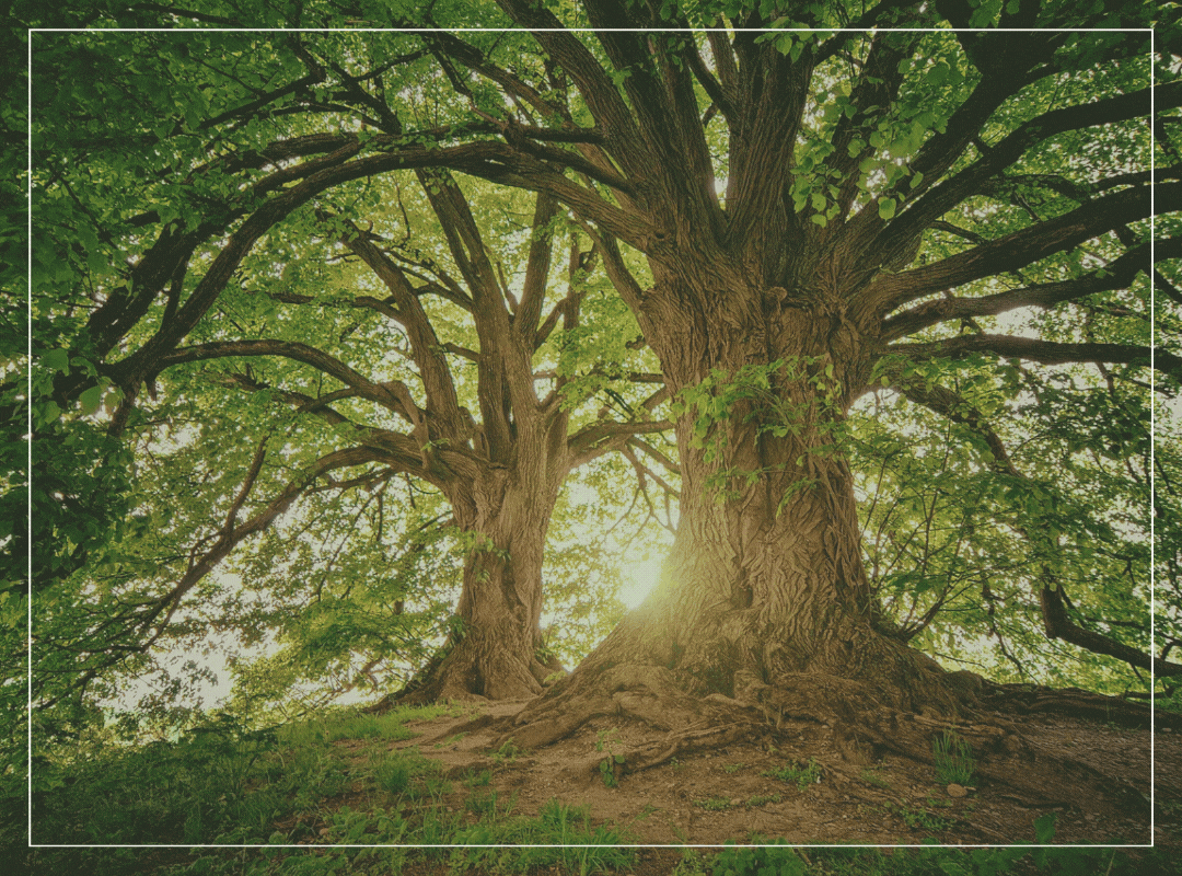 Protect Yourself, Protect the Planet