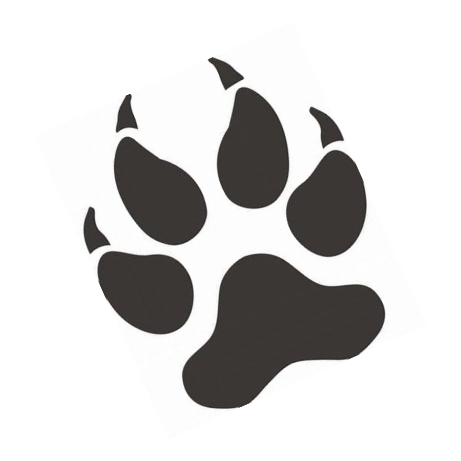Paw Print