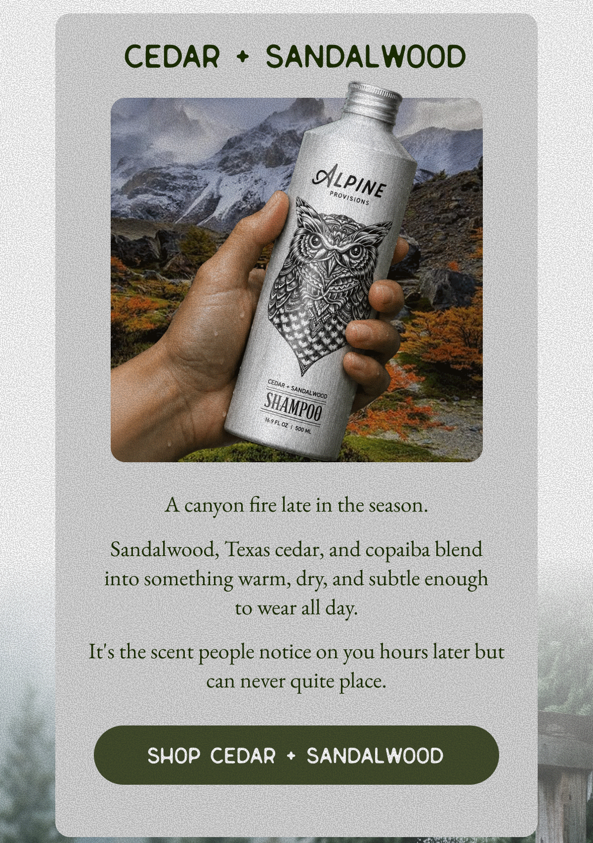 Cedar + Sandalwood