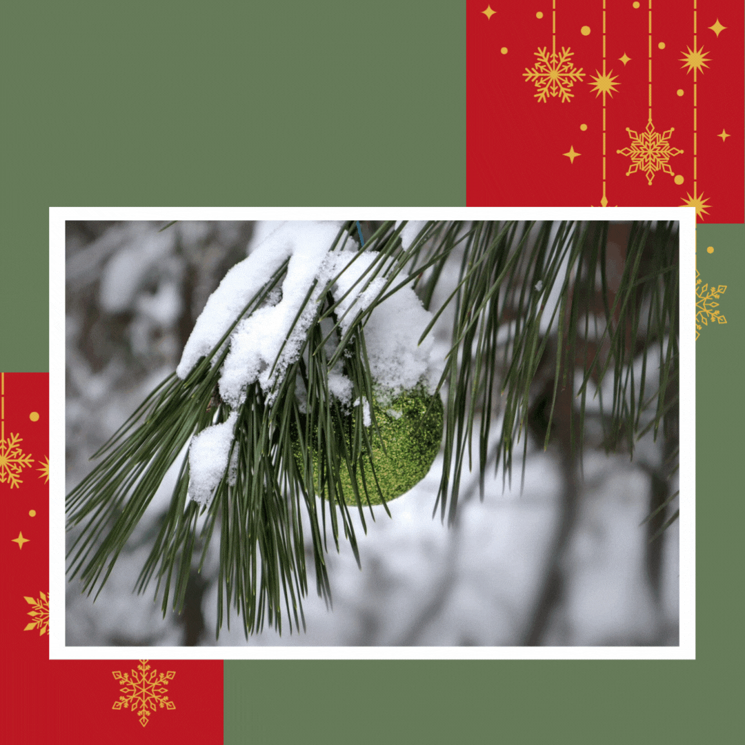 Holiday Reflections A Message from Joshua