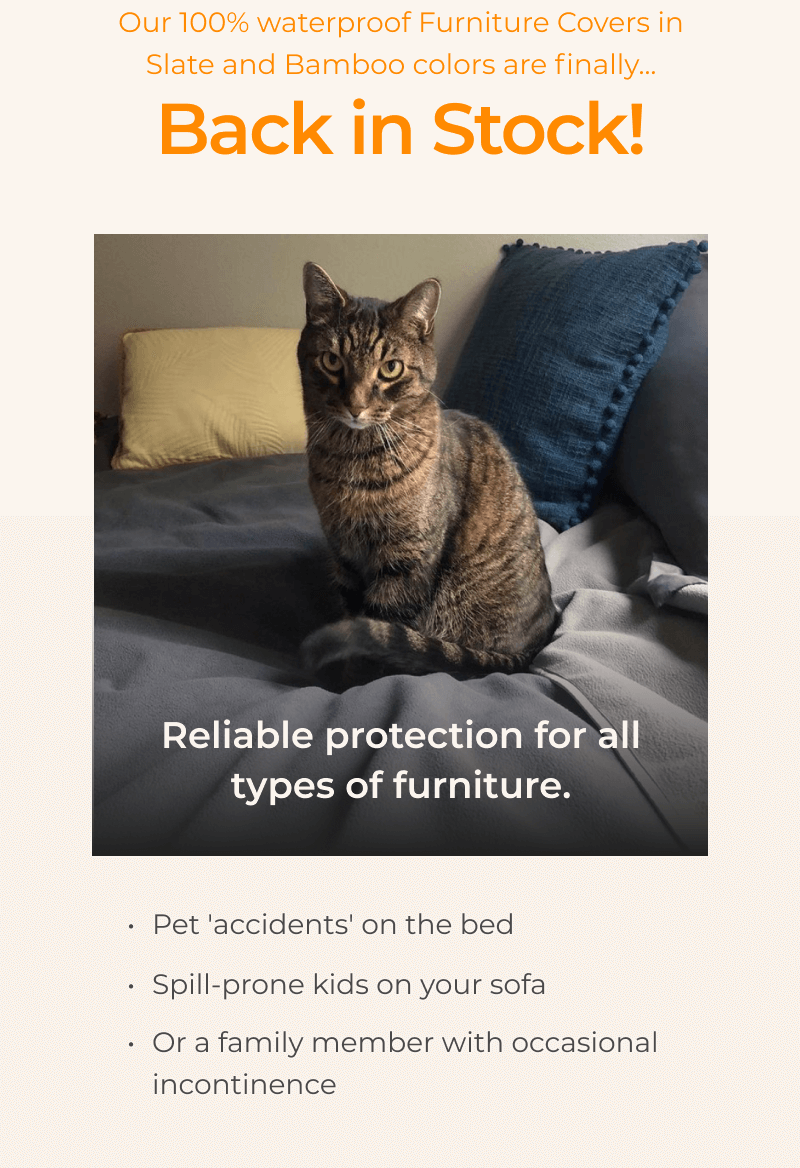 Mambe Furniture Covers Finally BACK IN STOCK! Mambe Waterproof Blankets