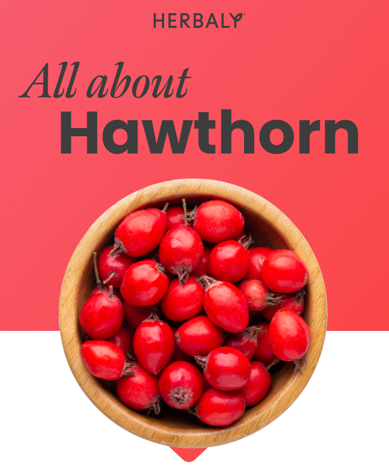 Hawthorn Berry