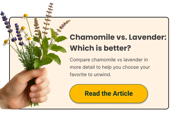 Chamomile vs. Lavender: Which is better? - Read the article