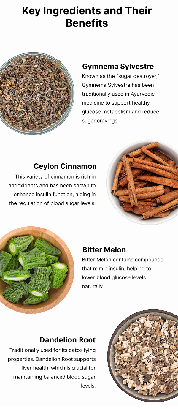 Key Ingredients and Benefits