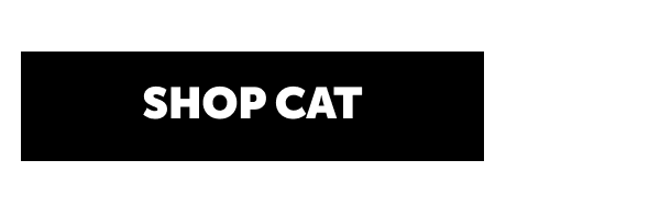 Shop cat