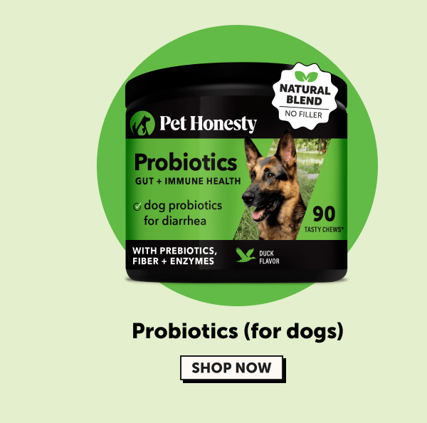 probiotics for dogs