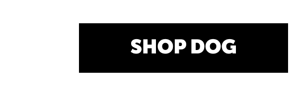Shop dog