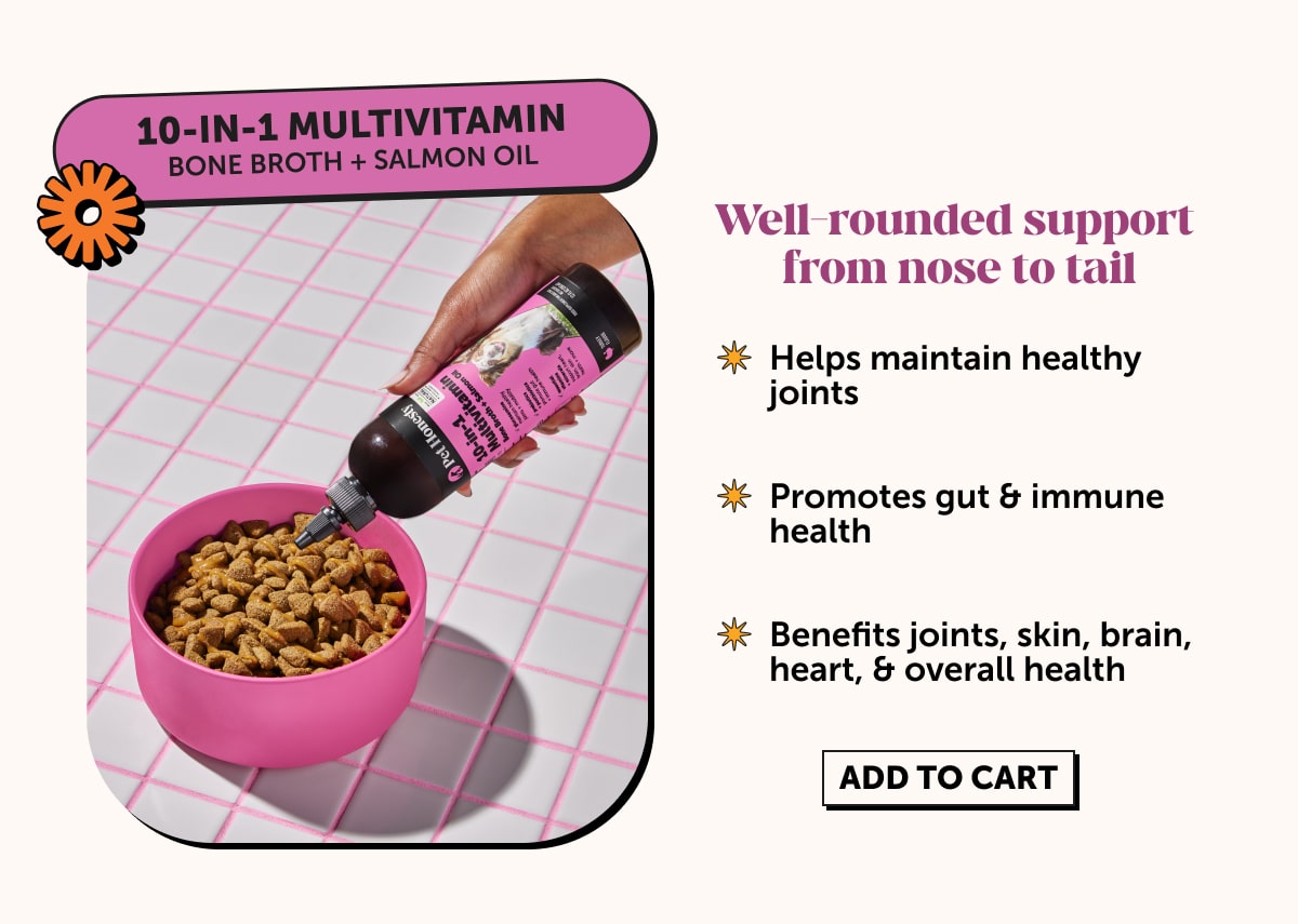 Multivitamin  Bone Broth + Salmon Oil  Well-rounded support from nose to tail  -Helps maintain healthy joints -Promotes gut & immune health -Benefits skin, joints, brain, heart, & overall health