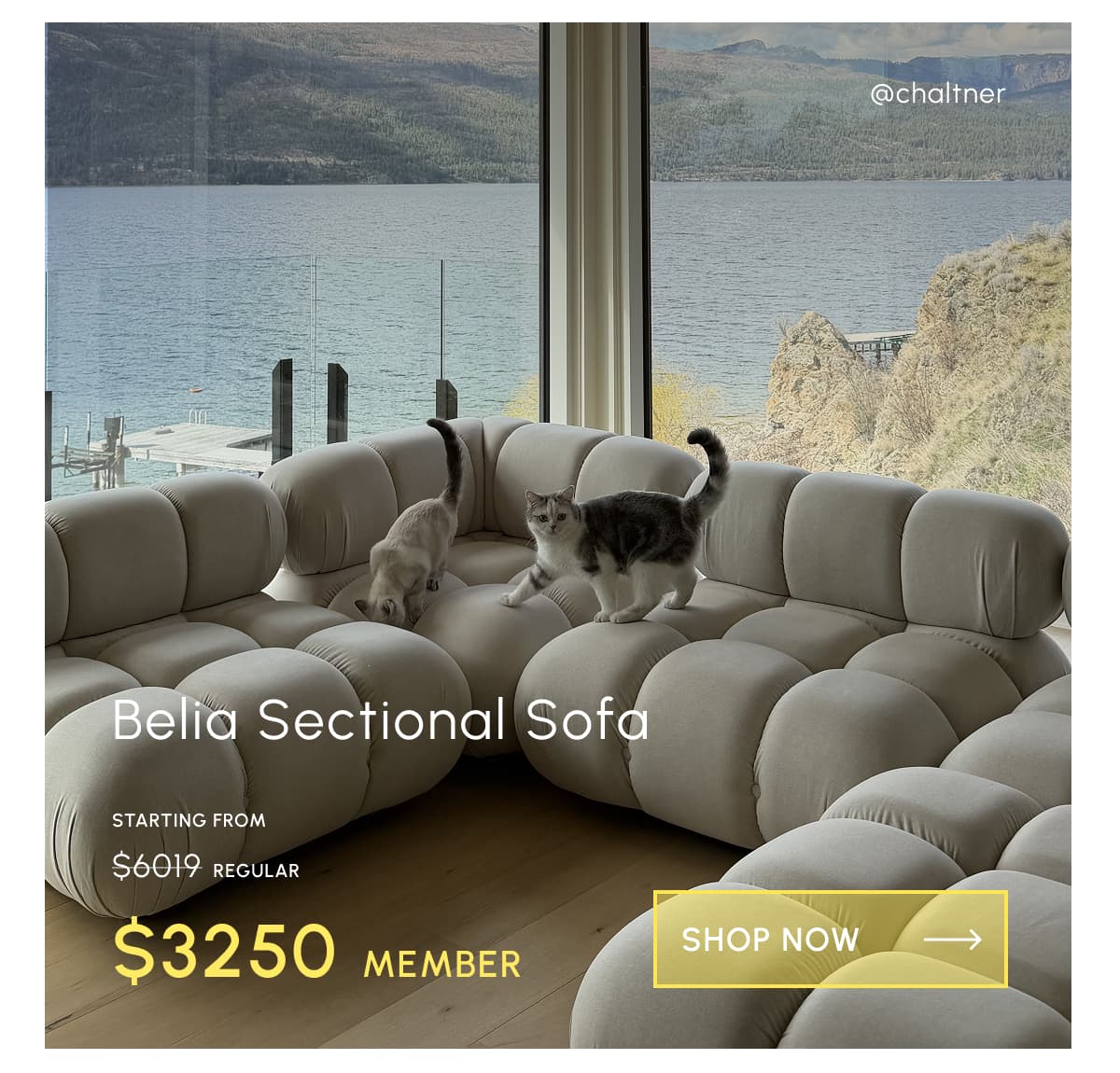 Belia Sectional Sofa