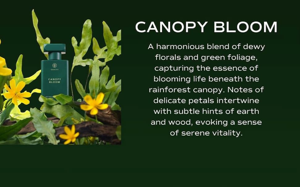 Canopy Bloom