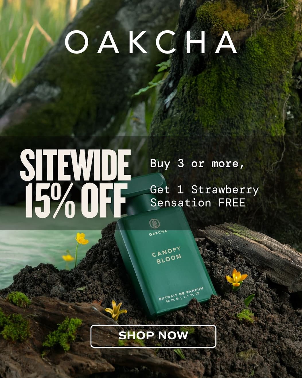 Oakcha. Buy 3 at 15% off, get FREE Strawberry Sensation! The Spring Glow Up Sale is Here. SHOP NOW.