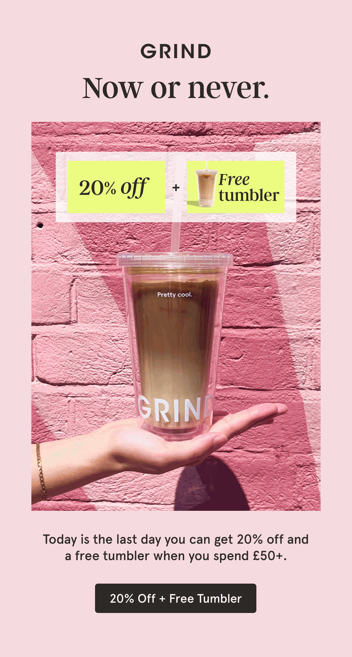 Last Chance for 20% off and a free gift!