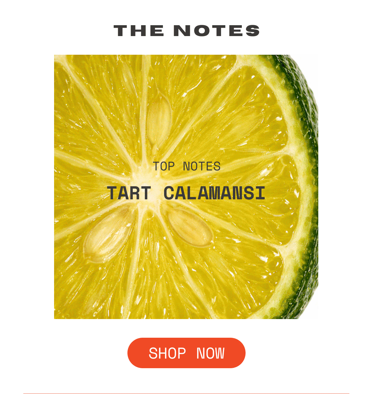 OUI the People Caribbean Skin