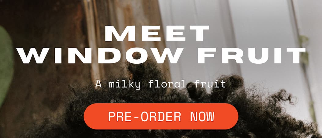 OUI the People Window Fruit