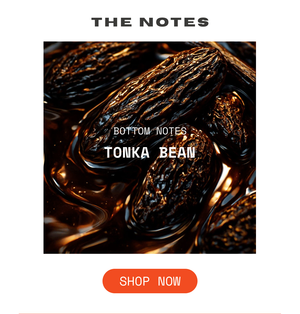 OUI the People Island Milk