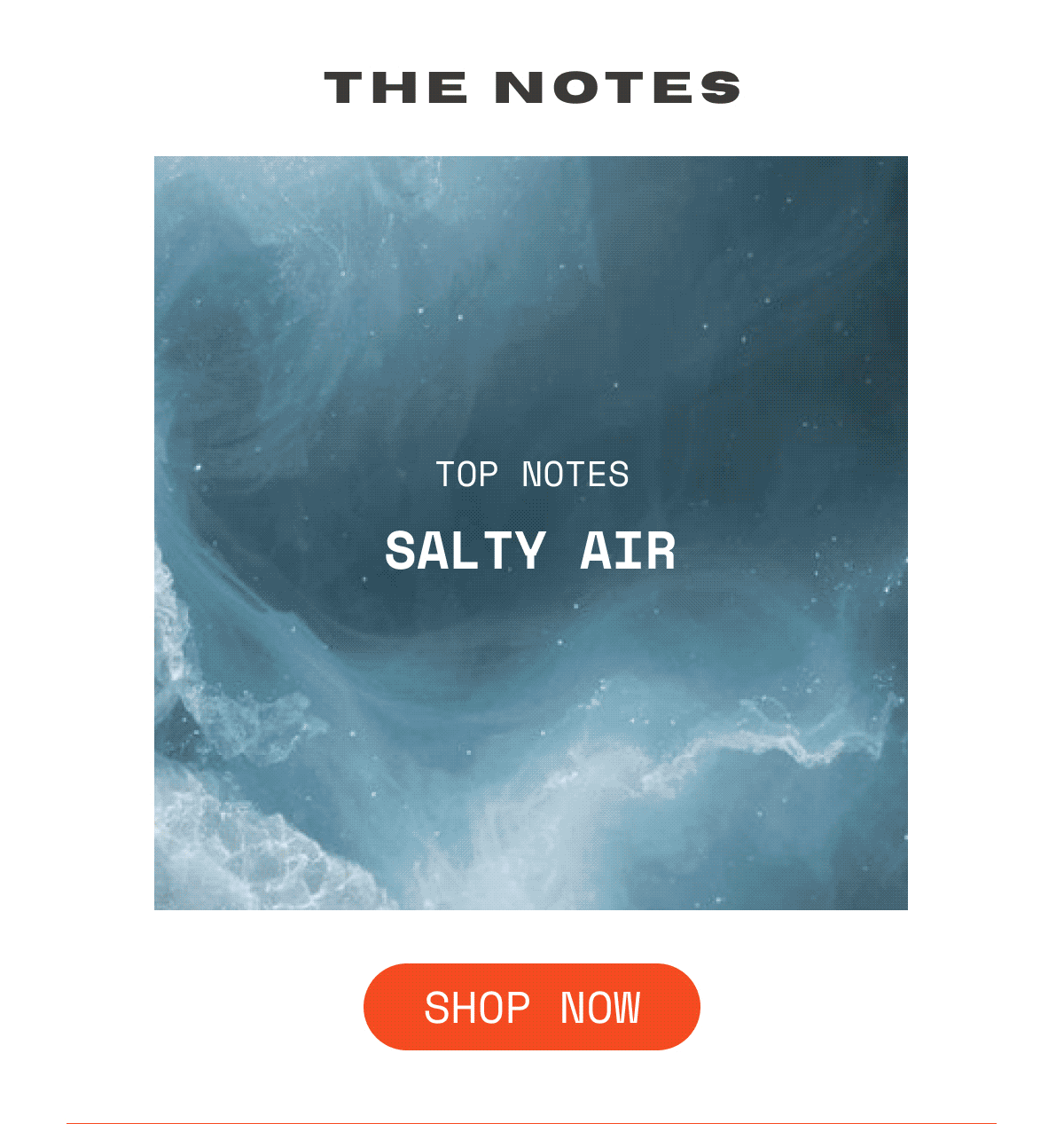 OUI the People Sunday Lime