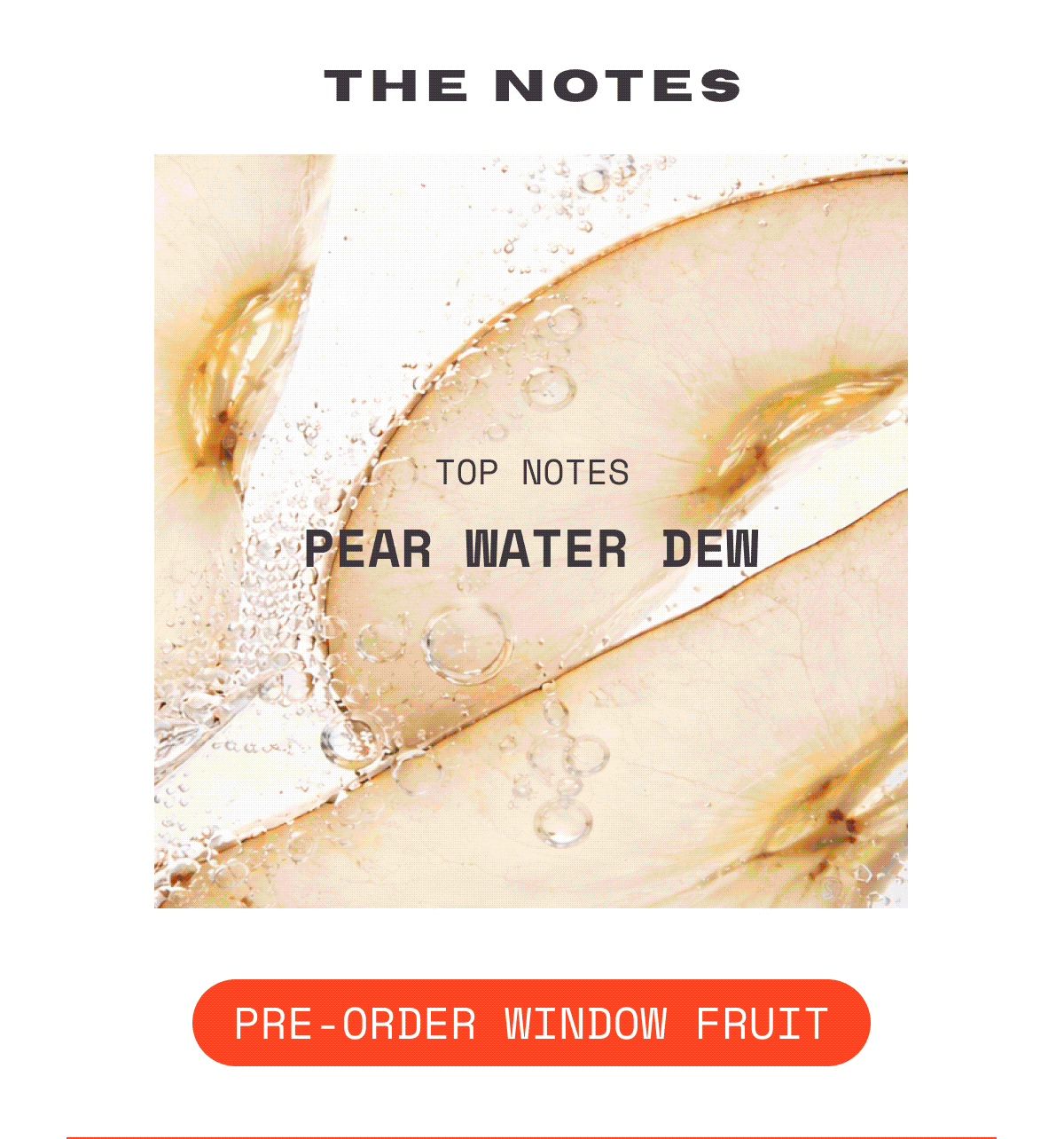 OUI the People Window Fruit